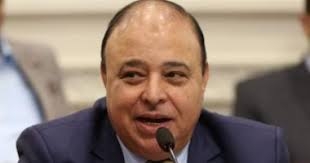 حسين خضير: المبادرة المصرية القطرية تعكس التزام القاهرة التاريخي بالقضية الفلسطينية